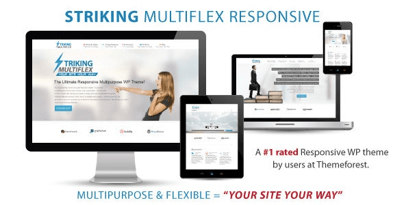 Striking MultiFlex & Ecommerce Responsive WordPress Theme